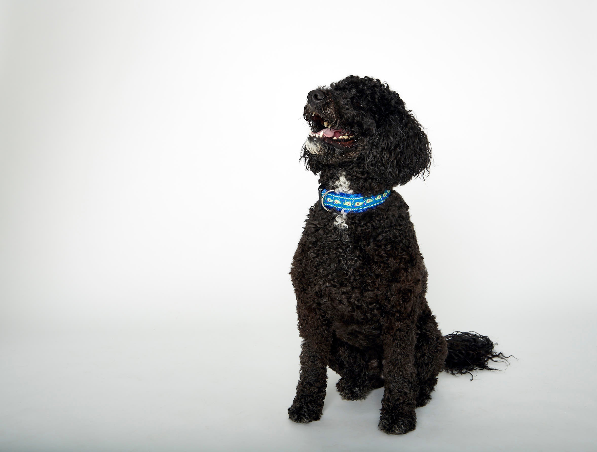 Locations Hours Weber s Pet Supermarket locations-hours-weber-s-pet-supermarket